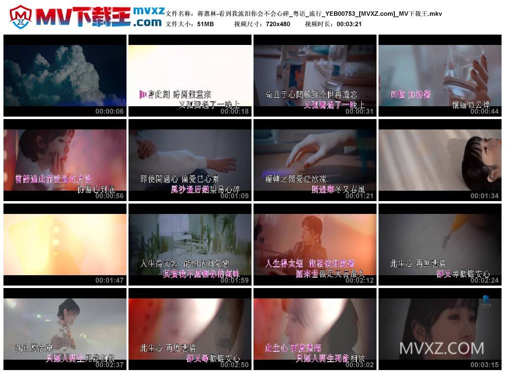 蒋蕙林-看到我流泪你会不会心碎_粤语_流行_YEB00753